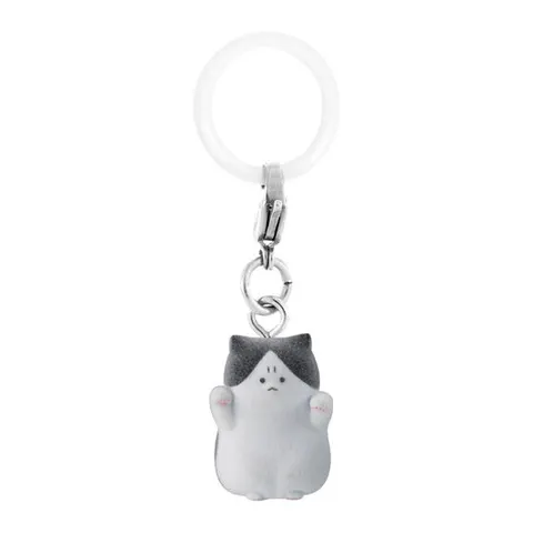 これ以上近付くとパンチしちゃう怒ってる猫ちゃん